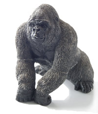 ape_figure